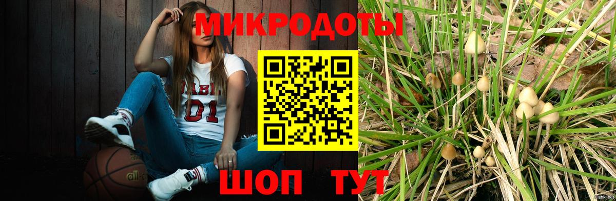 Галлюциногенные грибы мицелий Междуреченск