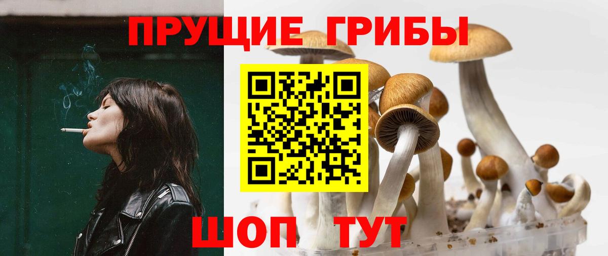 Междуреченск  Галлюциногенные грибы GOLDEN TEACHER  Вход с VPN 